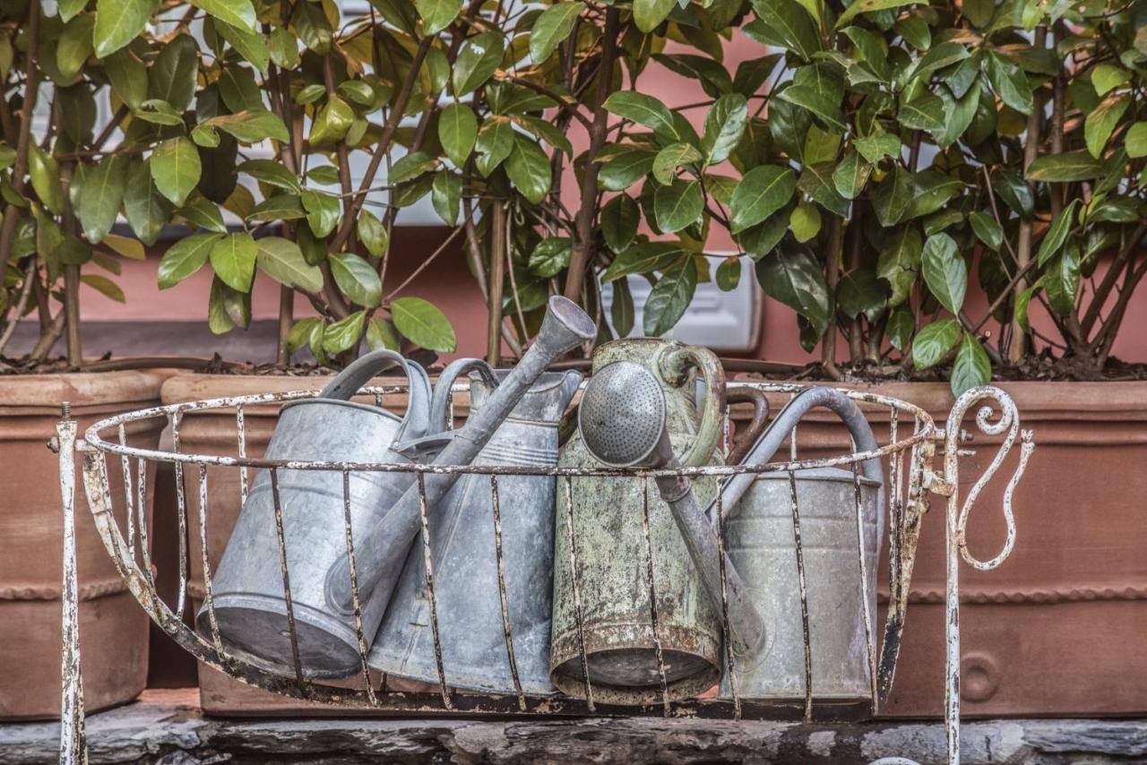 فندق Relais Del Maro Borgomaro المظهر الخارجي الصورة